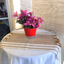 3 Cachepôs G Pintado - BrilhoVivo™