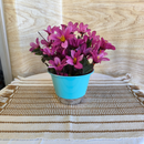 3 Cachepôs G Pintado - BrilhoVivo™